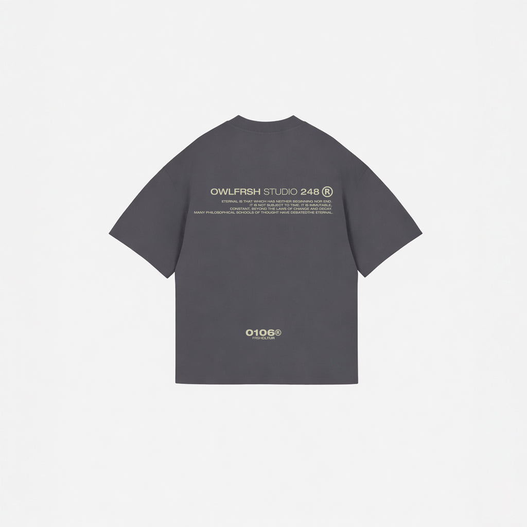 WorldWide 0106 Boxy Fit Tshirt Gray